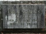 image of grave number 455132